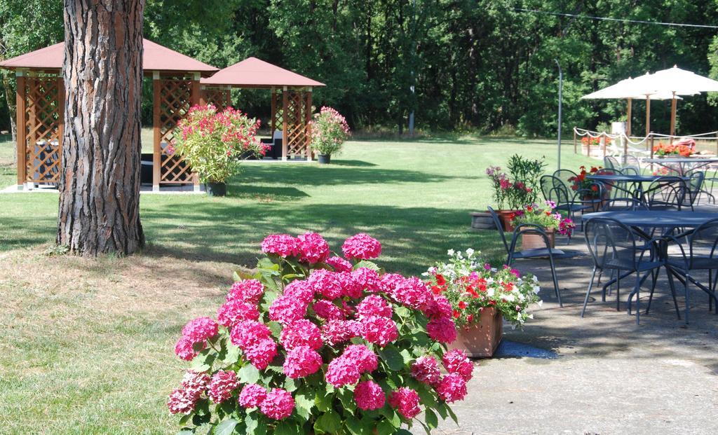 Agriturismo Antica Riserva Castiglione del Lago Exteriér fotografie